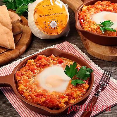 Кавказский сыр: Рецепты — Сочетайзер