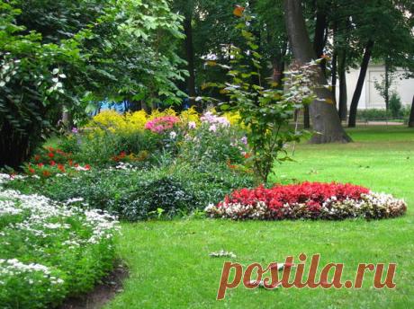 10 растений, цветущих в сентябре / цветы / 7dach.ru