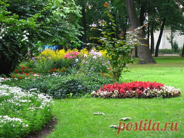 10 растений, цветущих в сентябре / цветы / 7dach.ru