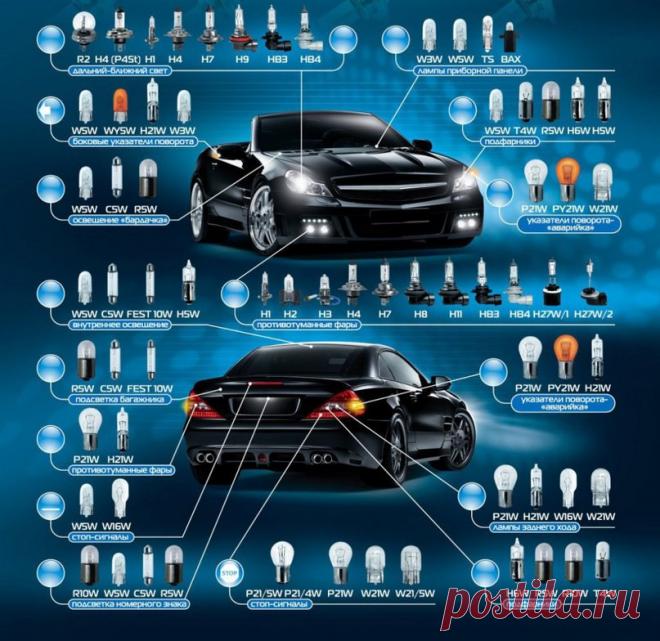 Фотографии на стене сообщества – 47 412 фотографий