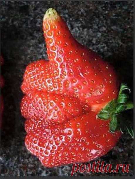 А у нас всё пучком)))