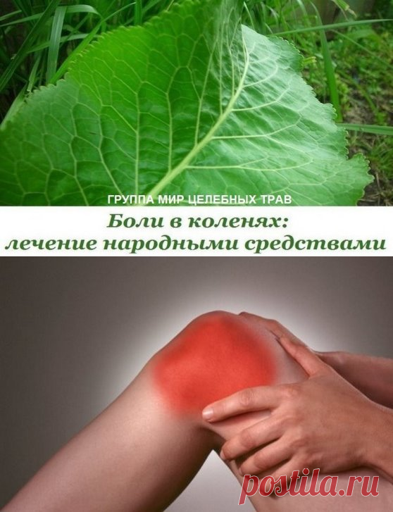 Боли в коленях: лечение народными средствами