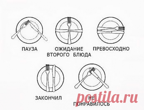 Наша кухня – Google+