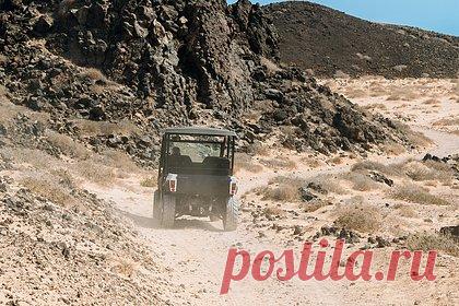 В России автомобилистам разрешат управлять болотоходами и багги