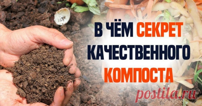 Как сделать компост своими руками: все тонкости | Полезные советы на все случаи жизни