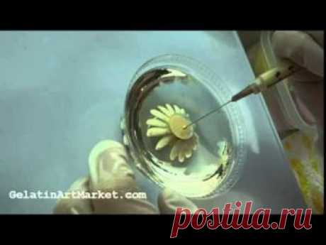 This video shows some of the techniques used to make flowers in clear gelatin (Jello). These desserts are beautiful and delicious. Yes, they are edible!