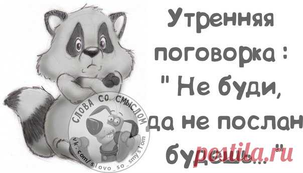 Прикольные фразочки в картинках