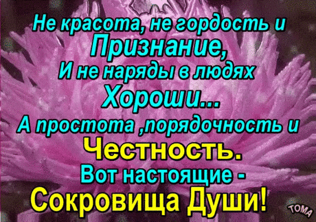 (1) Мой Мир@Mail.Ru