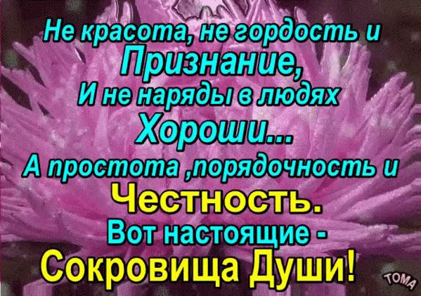 (1) Мой Мир@Mail.Ru