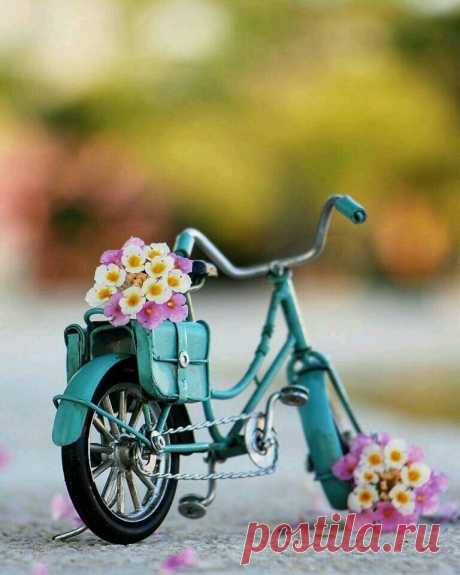 cute beautiful things for dp – Google Поиск