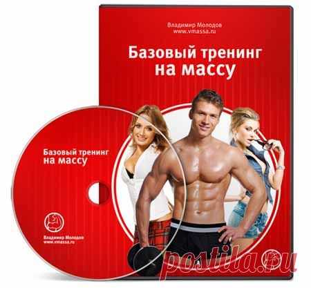 Видео-Курс: Базовый тренинг на массу | Партнерские программы интернета