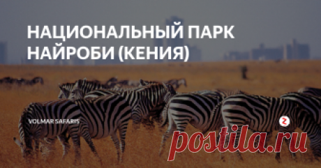 НАЦИОНАЛЬНЫЙ ПАРК НАЙРОБИ (КЕНИЯ) Большое ознакомительное сафари в ближайшем от Найроби заповеднике. Здесь обитают такие же настоящие дикие животные как лев, буйвол, слон, гепард, носорог и множество причудливых певчих птиц. Смотрите туры в Кению