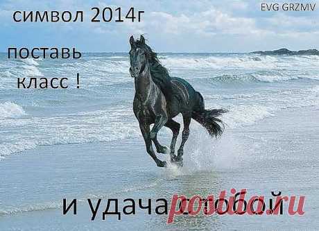 2014 - год Лошади!
