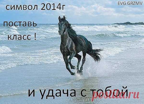 2014 - год Лошади!