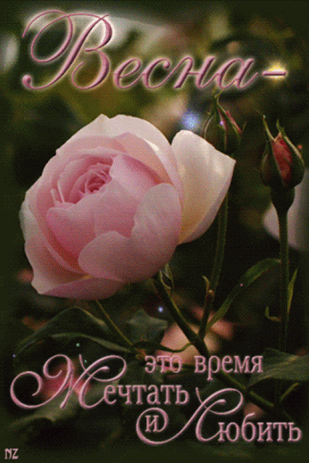 Живые фотографии – Сообщество – Google+