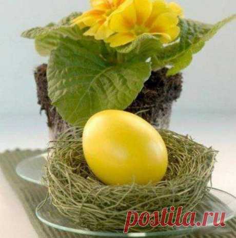 Яйца, крашенные в отваре куркумы