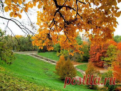 Осень золотая