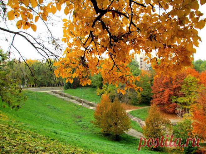 Осень золотая