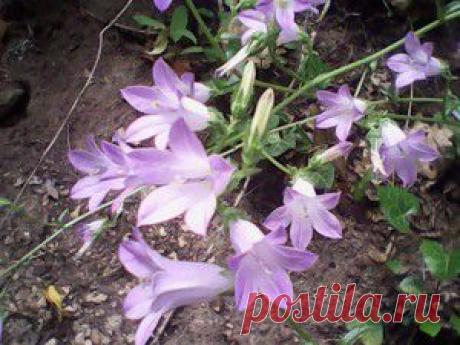 Прогулка | Твори, учись и путешествуй…