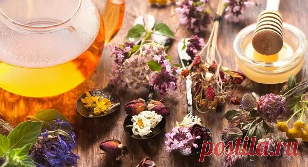 Советы сибирской травницы - Я ЗДОРОВ!