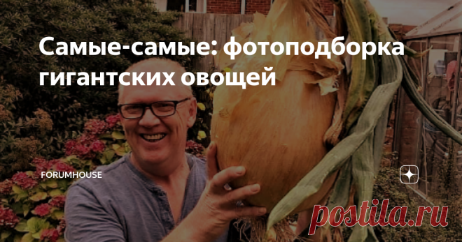 Самые-самые: фотоподборка гигантских овощей Как каждый охотник желает знать, где сидит фазан, так и любой дачник мечтает вырастить гигантский урожай. Давайте посмотрим, до каких размеров порой дорастают овощи. Не забудьте поставить лайк и подписаться на канал — у нас только полезный и интересный контент! Картошка, но далеко не крошка Средняя картофелина весит примерно 150–200 грамм. Иногда попадаются экземпляры по полкило. А как вам картофелина в полтора килограмма? Предст...
