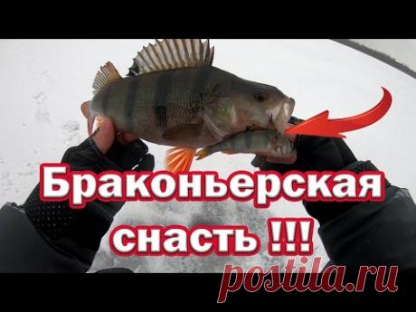 Просто БРАКОНЬЕРСКАЯ СНАСТЬ !!! Наши Деды так ловили  МЕШКАМИ Рыбу !!! Снасть Будущего из прошлого.