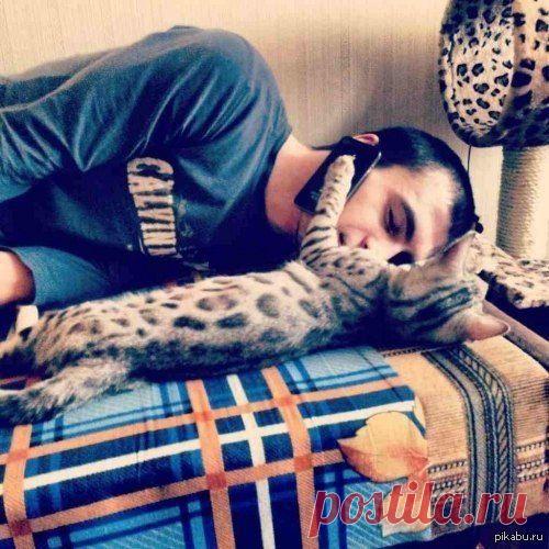 Ну очень кушать хоца