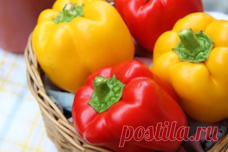 Вкусный перец на зиму | Покулинарим Пульс Mail.ru