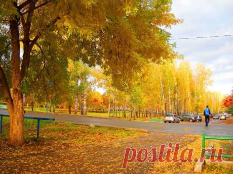 ФОТОМАСТЕРСКАЯ ПРИРОДЫ
Фанави Набиев