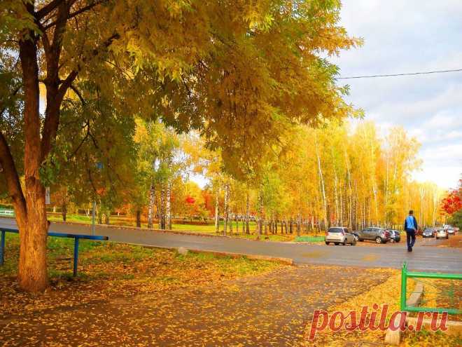 ФОТОМАСТЕРСКАЯ ПРИРОДЫ
Фанави Набиев