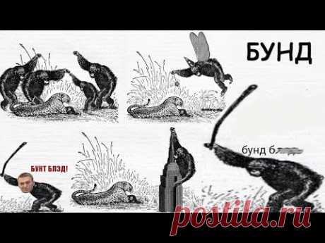 Откуда мем бунд б**** - обезьяна с дубинкой? - YouTube