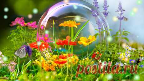 Цветы: Wild Flowers Butterfly Colorful Forest Meadow Bubble Spring Gallery для HD 16: 9 High Definition 1080p 900p 720p Wide 16:10 5: 3 Широкоэкранный WUXGA WXGA WGA Standard 4: 3 5: 4 Fullscreen UXGA SXGA Другое 3: 2 DVGA HVGA Mobile VGA WVGA iPhone iPad PSP Мобильный телефон QVGA PocketPC GPS WQVGA Смартфон HVGA iPod Zune HD 5945