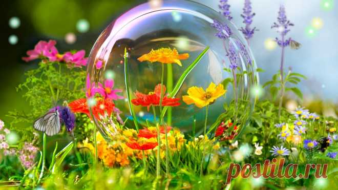 Цветы: Wild Flowers Butterfly Colorful Forest Meadow Bubble Spring Gallery для HD 16: 9 High Definition 1080p 900p 720p Wide 16:10 5: 3 Широкоэкранный WUXGA WXGA WGA Standard 4: 3 5: 4 Fullscreen UXGA SXGA Другое 3: 2 DVGA HVGA Mobile VGA WVGA iPhone iPad PSP Мобильный телефон QVGA PocketPC GPS WQVGA Смартфон HVGA iPod Zune HD 5945