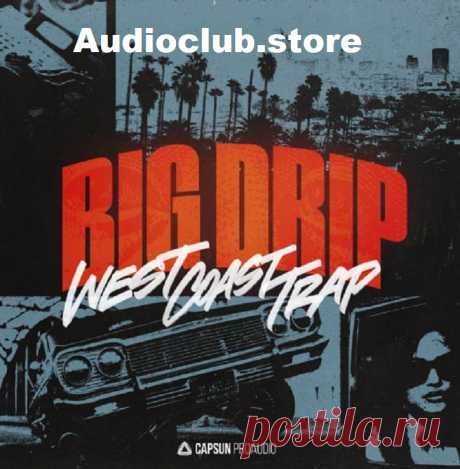 Capsun ProAudio Big Drip : West Coast Trap WAV  | 288 MB

Introducing BIG DRIP - WEST COAST TRAP: a comprehensive collection designed for creating standout trap beats and melodies. This pack offers meticulously crafted sounds that capture the essence of West Coast Trap, including hard-hitting 808s, razor-sharp hi-hats, and genre-defining synth bass and keys. It’s more than just a sound library; it’s a creative toolkit