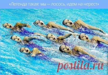 Эти забавные синхронистки