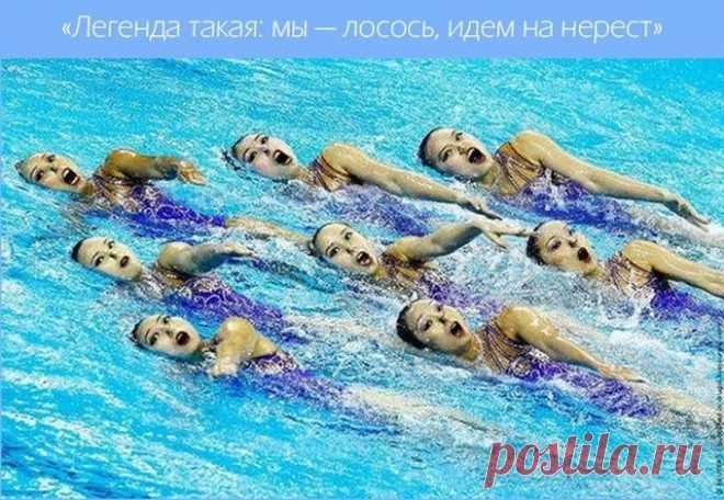 Эти забавные синхронистки