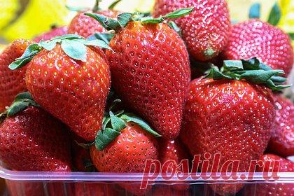 Врач назвала безопасную для здоровья порцию клубники. Врач-гастроэнтеролог Екатерина Кашух назвала безопасную для здоровья человека порцию клубники. По словам специалиста, при употреблении ягоды не стоит забывать об умеренности, несмотря на ее полезные свойства. Оптимальная суточная доза клубники составляет 200-250 граммов, ее превышение грозит расстройством ЖКТ.