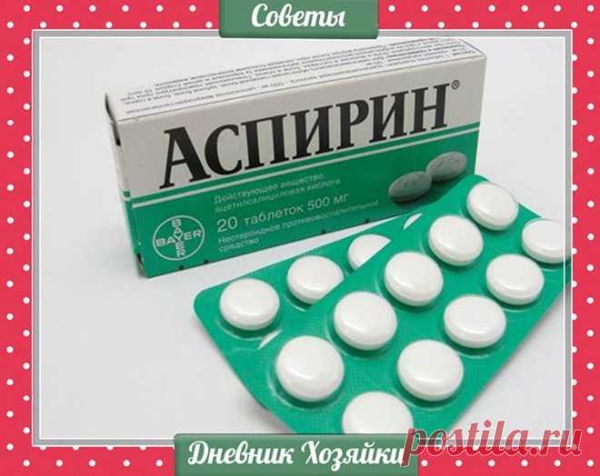 Фотографии Дневник хозяйки: советы, рецепты, уют - Дневник хозяйки: советы, рецепты, уют