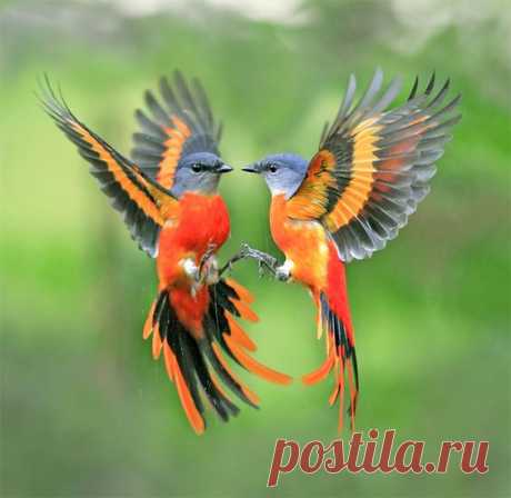 Pinterest: инструмент для поиска и хранения интересных идей