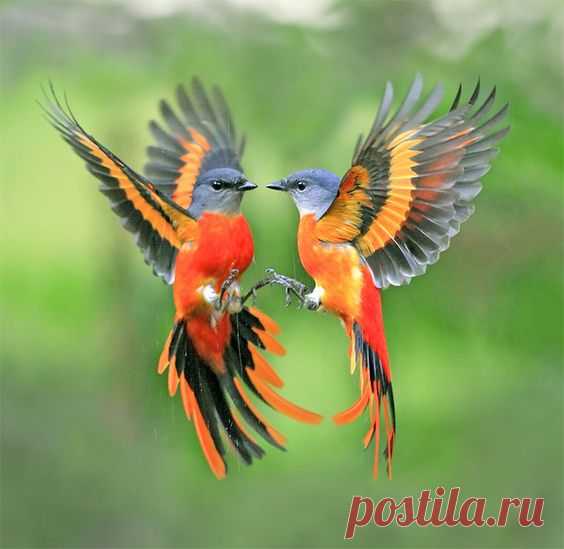 Pinterest: инструмент для поиска и хранения интересных идей