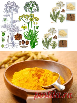 Асафетида - что это такое и чем заменить