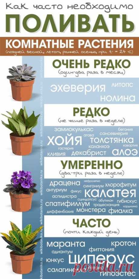 Пин содержит это изображение: чек-лист по уходу за растениями