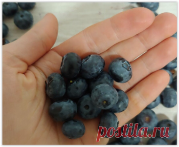 Питание для восстановления печени.