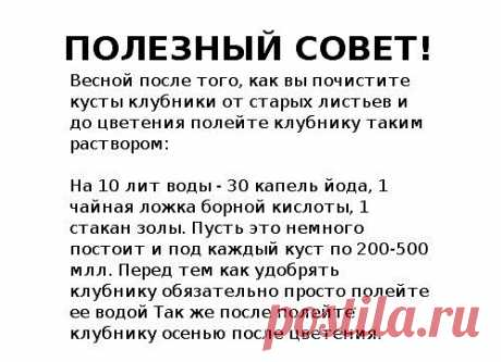 Советы огородников для увеличения урожая — 6 соток