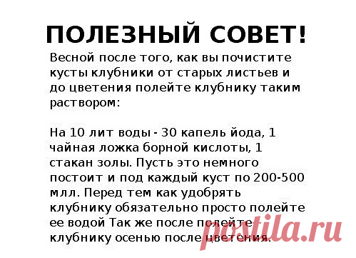 Советы огородников для увеличения урожая — 6 соток