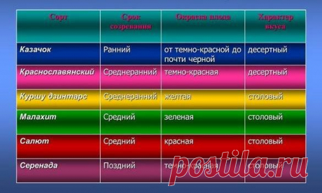 Мой сад