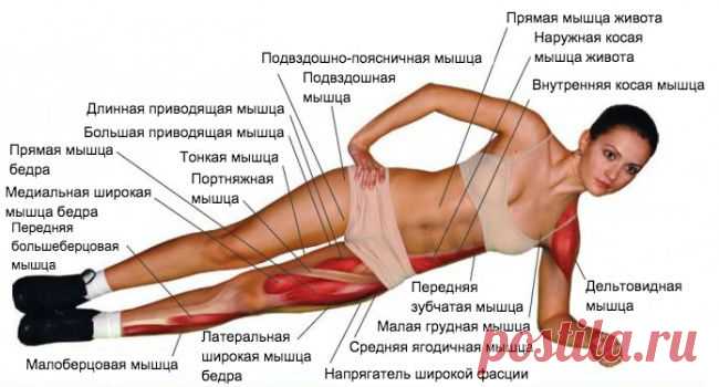 Лучшее упражнение на все времена