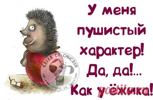 Веселые картинки со смыслом :)