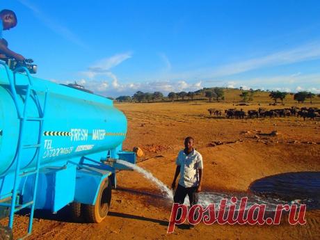 Без него они умрут: кениец каждый день возит воду изнывающим от жажды диким животным Познакомьтесь с грандиозным человеком — фермером Патриком Килонзо Мвалуа (Patrick Kilonzo Mwalua) из Кении. Этот потрясающий мужчина тратит несколько часов каждый день, чтобы привезти воду в засушливы…