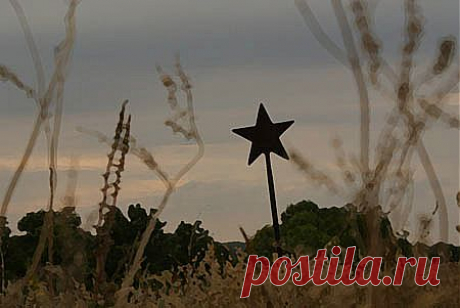 Гость (Лидия Рыбакова) / Стихи.ру - национальный сервер современной поэзии